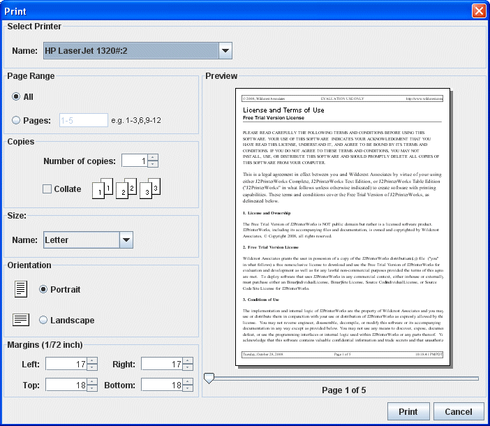 preview print dialog